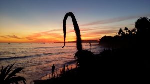 Mariposa Beach, Santa Barbara, California - Photo taken by Veronica Montes July 2015.